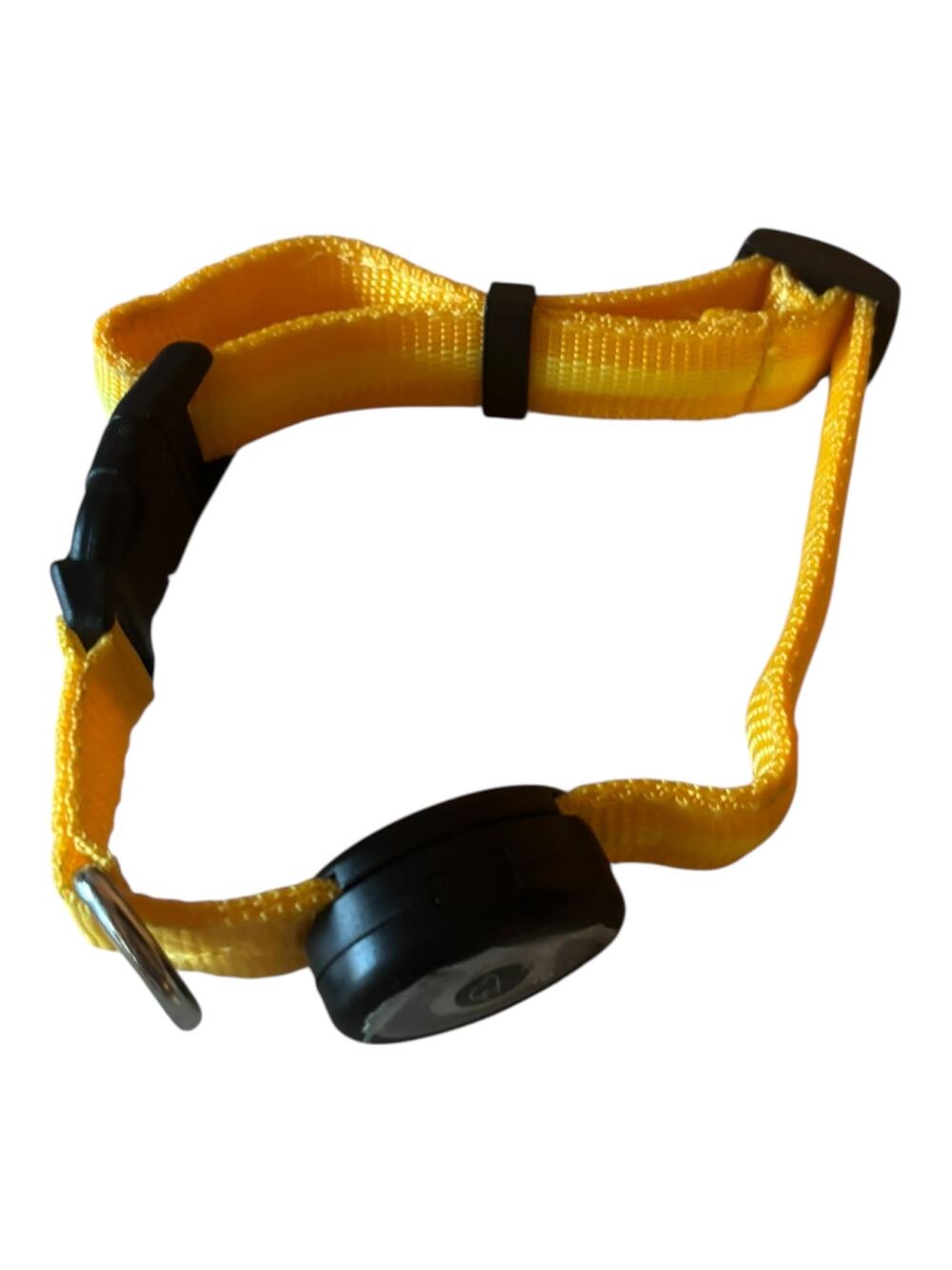 Elive Yellow LED Dog Collar 3/4" width Adjustable M 15" - 20"